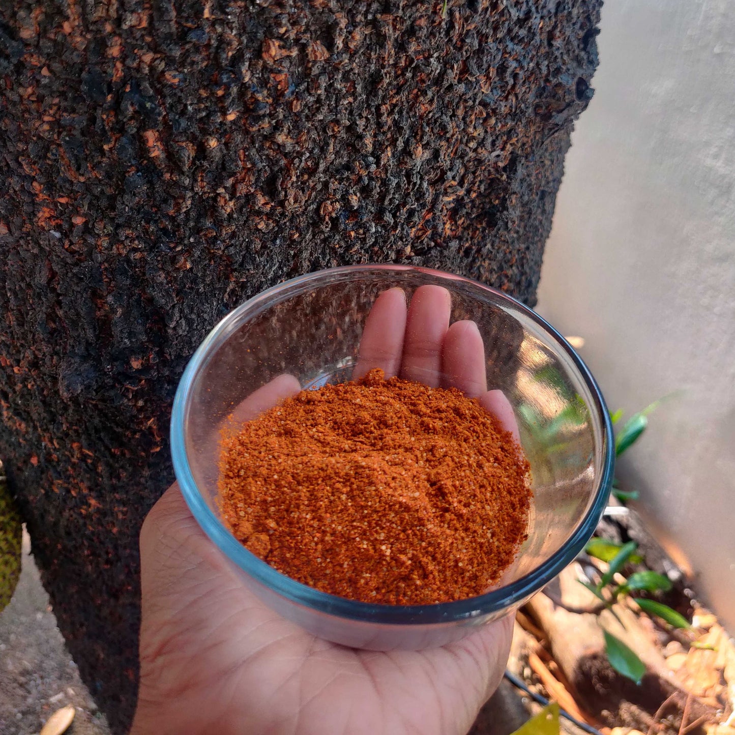 best homemade biryani masala on tocco