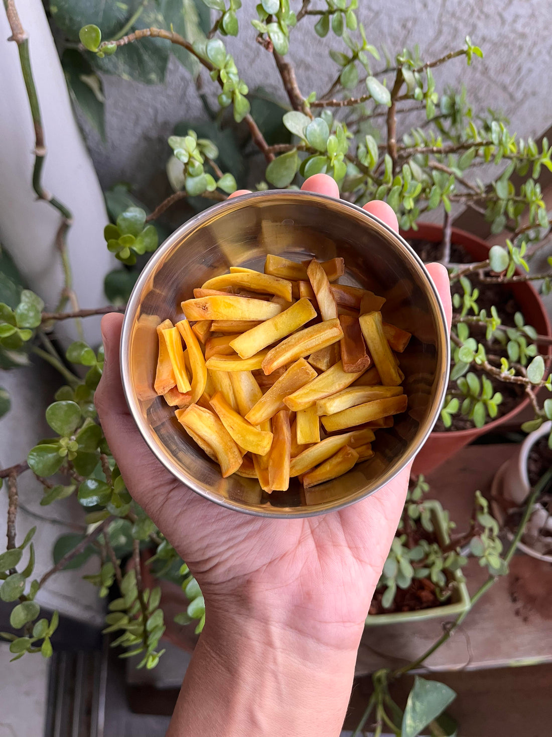 Fresh Best Jackfruit Chips-Homemade-Tocco