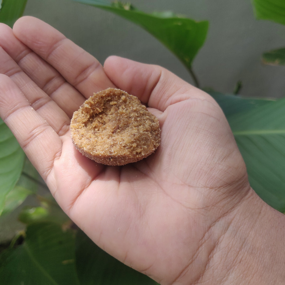 Roasted Rice Unda Buy Avalose Unda (Ari Unda) – Kerala Roasted Rice Jaggery Laddoo – Tocco