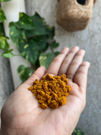 Homemade Sambar Podi Masala-Tocco